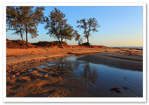 ocean trees sea beach creek sunrise geotagged australia erosion ripples northernterritory arnhemland gove nhulunbuy casuarinatree arafurasea barbarajh govepeninsula sheoaktrees eastarnhemland geo:lat=12186495 geo:lon=136796442