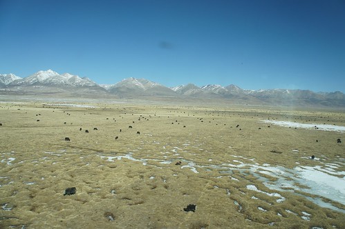 西藏 京藏铁路