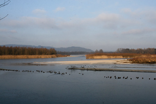 winter river inn stpeter stausee winterlandscapes waterreservoir hagenau stpeteramhart