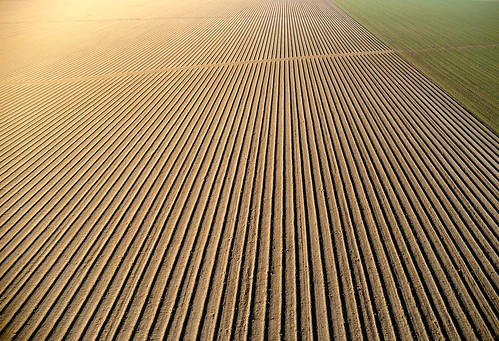 above abstract landscape pattern aerial topdown agricultural