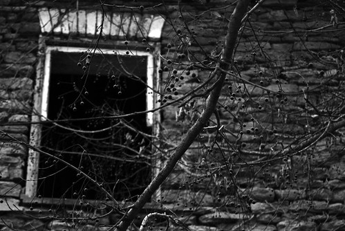 blackandwhite usa tree window stone architecture berries indiana vernacular lawrenceburg nikond40x