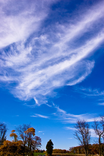 clouds bluesky butlerorchard