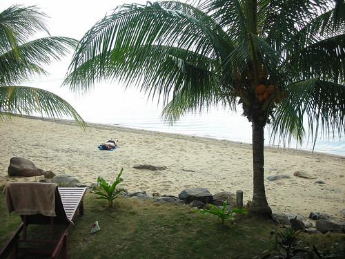 ocean sea tree beach girl chair view palm malaysia tioman bungalow pulautioman malaisien