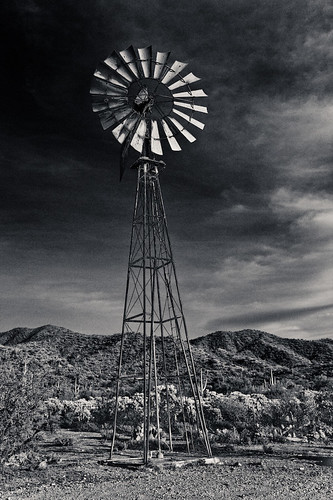 sunset arizona cactus blackandwhite bw windmill geotagged drought briar cholla florencejunction