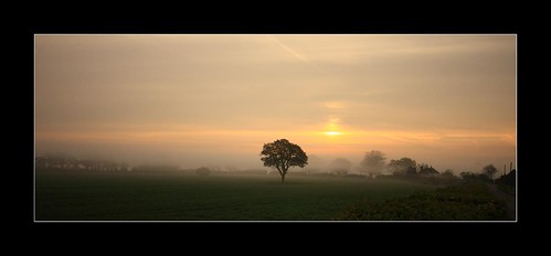 morning panorama mist tree field sunrise platinumphoto vosplusbellesphotos