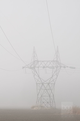 man tower nature fog rural electricity powerline serene lanecounty