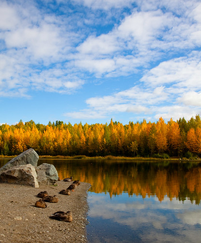 autumn reflection alaska anchorage cheneylake