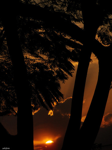 sunset pordosol sunshine entardecer blueribbonwinner greatphotographers micámarayyo “flickraward” sonydsch20 flickrunitedaward mygearandme allnaturesparadise