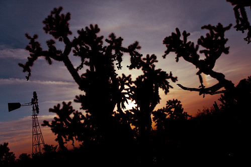 sunset arizona cactus windmill geotagged sundog briar cholla dutchangle florencejunction cantedangle