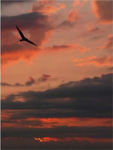 morning sky sunrise island michigan seagull 2009 manitou