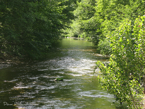 nature rivière arbre printemps douceur peyreleau
