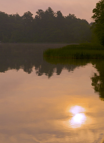 fog sunrise pond massachusetts newengland carver southeasternma