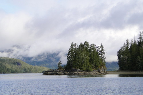 Clayoquot Sound - Near Tofino, Vancouver Island, BC, Canada - 06