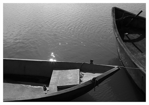 bw reflection boats boat barca fiume barche bn po acqua riflessi prue riflesso veneto prua fiumi riflessioni gorino pontedibarche