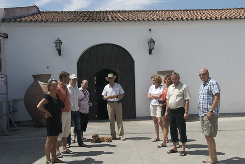 visitors enoturismo cortesdecima hjhansen winerytourism