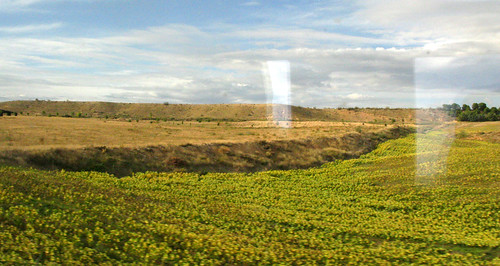travel españa train countryside spain europe ave catalunya cataluña cmyk highspeedtrain campdetarragona madridatocha lleidapirineuscatalonia wantedgettyimages