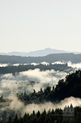 sky mountain nature fog skyline rural valley layers serene lanecounty