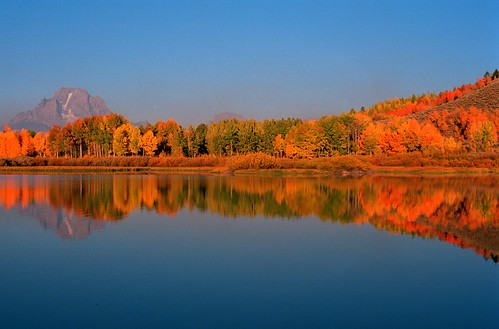 autumn nikon day fallcolors clear f5 kodakportra160vc jacksonwy nikkoraf50mm18