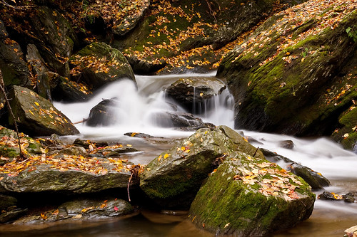 autumn fall leaves waterfall rocks foliage pa tucquanglen holtwood lancasterconservancy