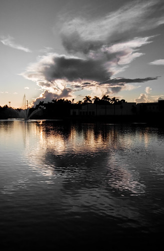 sunset sky lake tree nature fountain silhouette clouds canon reflections eos florida miami palm um 1022mm coralgables universityofmiami selectivecolor efs1022mm 50d canoneos50d lakeosceola cobbfountain