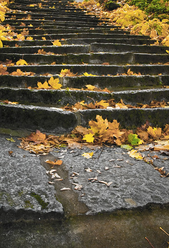 park nikon lithuania parkas lietuva laiptai d80 dvaras rambynas švėkšna