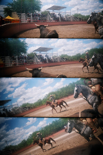 horses horse film analog toy caballo frames lomo lomography supersampler texas action tx toycamera bull plastic rodeo filmcamera sequence rider analogphotography toro horseback plasticcamera caballero charros charreada vaqueros vaquero horsemanship plasticlens lienzo centraltexas actionsequence toyphotography mexicanculture mexicantradition mexicanrodeo mexicanheritage elbajio vonormy vonormytexas vonormytx