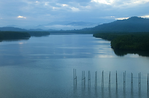 river landscape nikon malaysia borneo kotakinabalu 2009 sabah sungai d80 apiapi hhsp hockhowsiewpeng menkabongriver sungaimengkabong
