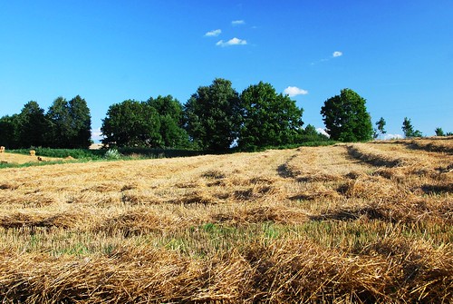 landscape harvest poland polska bucolic suwalszczyzna krajobraz sielanka żniwa żegary
