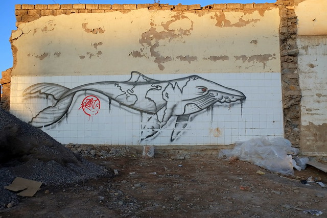 streetart | ??? | marrakech . feb 2014