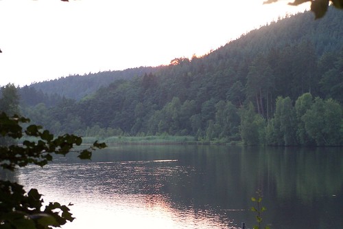 sunset lake water germany deutschland see wasser kaiserslautern pfalz rheinlandpfalz pfälzerwald gelterswoog fisherbray