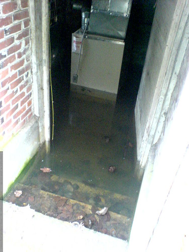 flooded basement   DSC02443