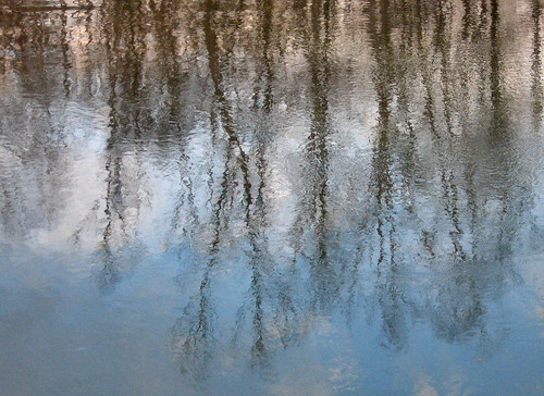 trees sky water alberi clouds reflections river eau nuvole fiume cielo acqua piante riflessi tanaro
