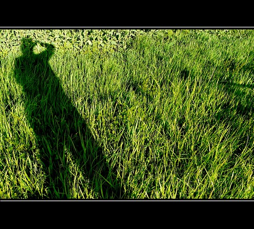shadow green meadow wiese grün schatten