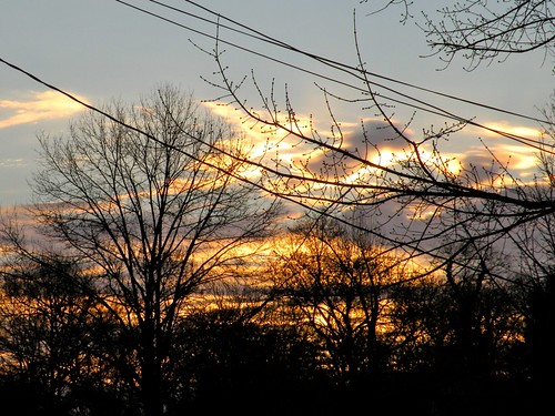 trees sky clouds sunrise landscape maryland