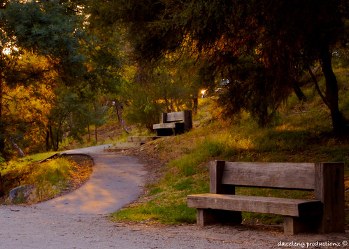 park nature landscape dawn scenery walkway pathway warrandyte