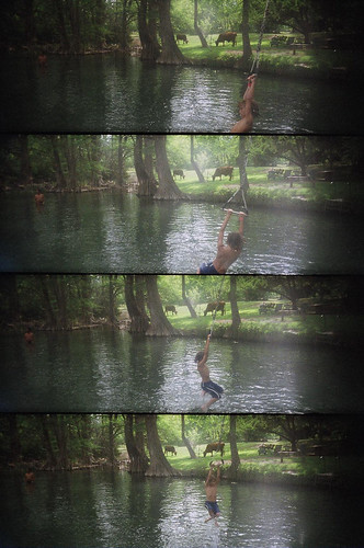 film water analog swimming 35mm toy frames lomo lomography supersampler texas cattle cows sampler action toycamera swing plastic sequence analogphotography grazing bluehole plasticcamera ropeswing wimberly splitframe plasticlens actionsequence toyphotography cypresscreek wimberlytx wimberlytexas