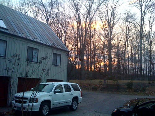 trees winter sunset 365 iphone365