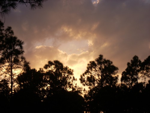sunset nature clouds photography florida fl