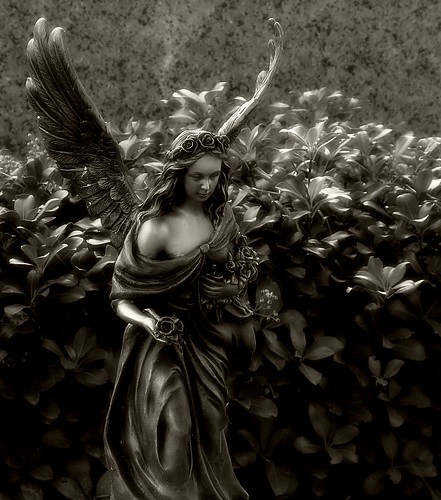 flowers bw cemetery statue metal angel bronze wings tombstone graves cast canonxt tombs houstontx glenwoodcemetery mauroluna