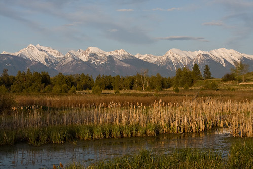 panorama mountains nature cat landscape pond montana heaven rocky peak cattails national mission bison range heavenly mothersday tails macdonald wetland riparian missionmountains moiese abigfave natureoutpost absolutelystunningscapes ©katielasallelowery