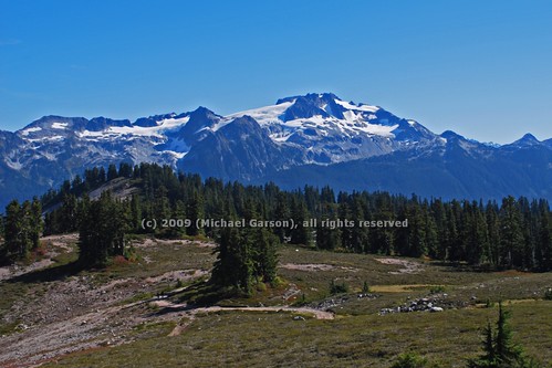 trees snow plant canada mountains tree nature grass forest landscape hiking path hike cannon fields atmosphericperspective garibaldiprovincialpark