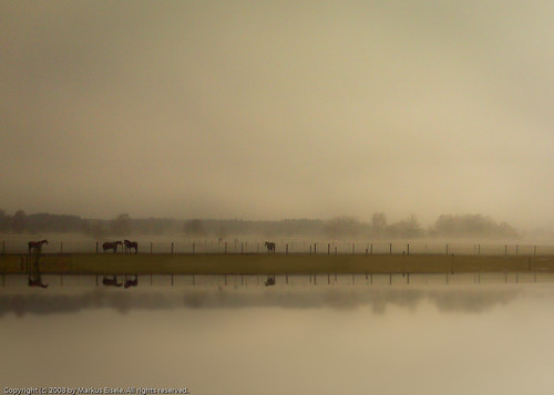 morning sky horse tree fog landscape geotagged warm power blackberry dust geo:lat=48188993 geo:lon=11874289