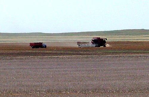 blue canada color colour truck farm harvest vehicle standrews sk prairie saskatchewan agriculture 2009 thresher 2000s canadagood