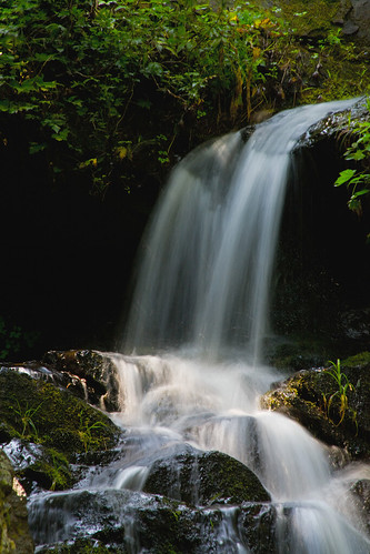 trees green water waterfall nc rocks northcarolina cascade oldfort mcdowellcounty catawbafalls davidhopkinsphotography
