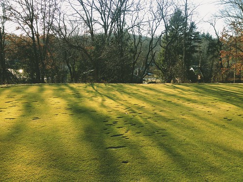 trees light green grass club golf afternoon shadows pennsylvania country course golfing western wildwood 4s iphone dublinfilter
