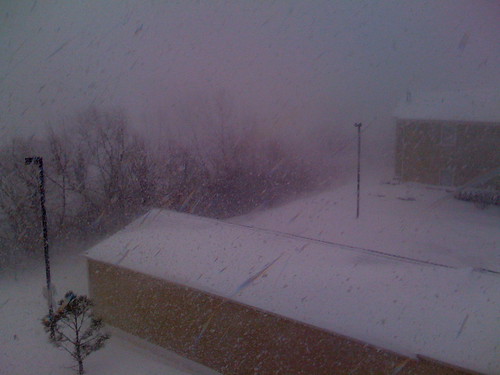white snow storm cold colorado wind balcony boulder blizzard whiteout