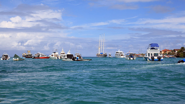 Puerto Ayora Harbour