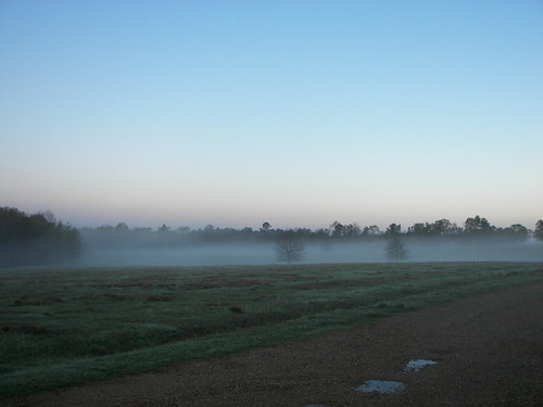 morning misty fog sunrise mississippi foggy ms prentiss