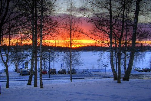sunset sea snow tree lumi puu meri hdr vaasa auringonlasku