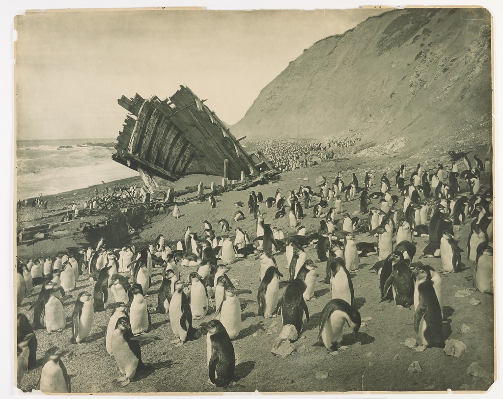 Wreck of the 'Gratitude', Macquarie Island, 1911